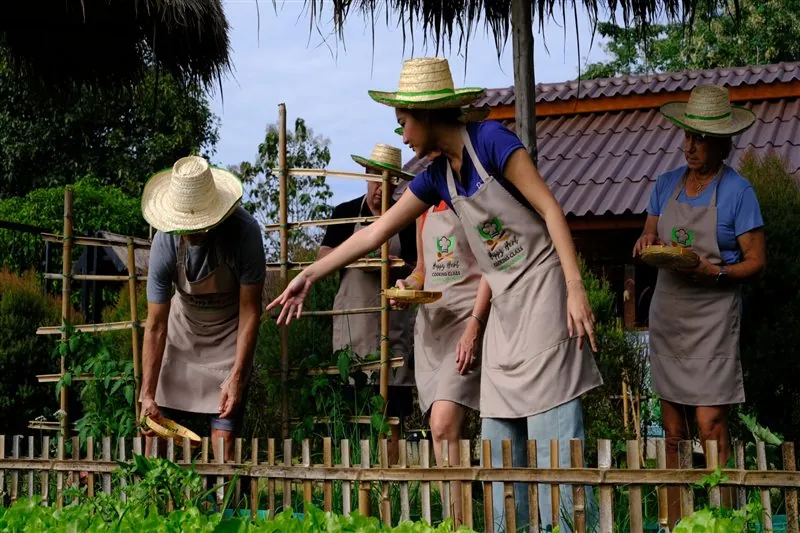 Guests harvesting herbs and vegetables before the cooking class