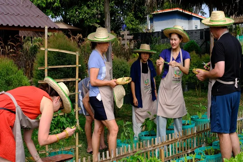 Two students cooking Thai dishes side by side