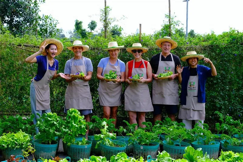 Students enjoying a relaxed farm-to-table cooking lesson