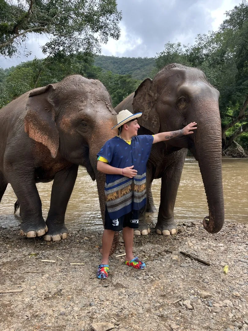 Guests feeding an elephant at an ethical sanctuary