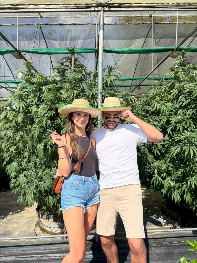 Couple enjoying the cannabis crop during their Chiang Mai farm tour