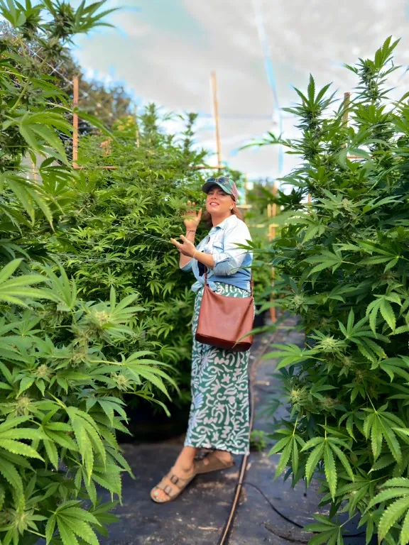 Happy Herb founder standing among healthy cannabis plants