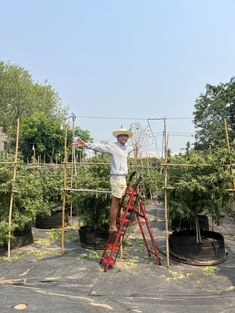 Farm team member celebrating among the greenhouse crop