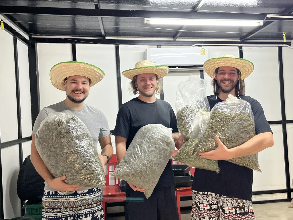 Visitors smiling with bags of harvested cannabis flowers