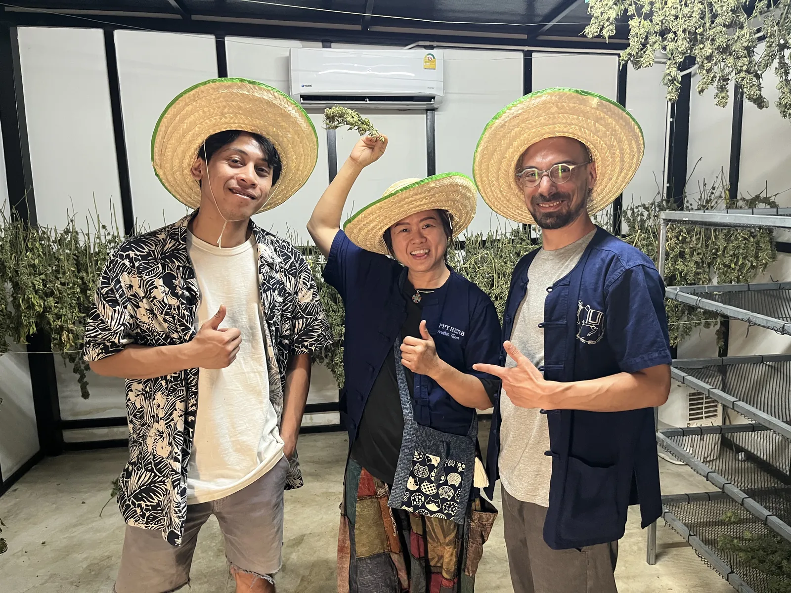 Three visitors celebrating their cannabis flower harvest