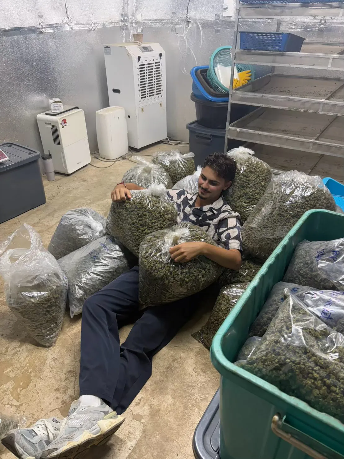 Traveller relaxing beside bags of harvested cannabis flowers