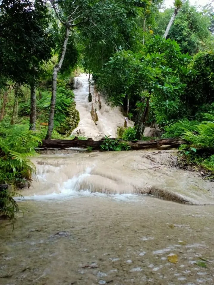 Looking up through the limestone levels of Sticky Waterfall