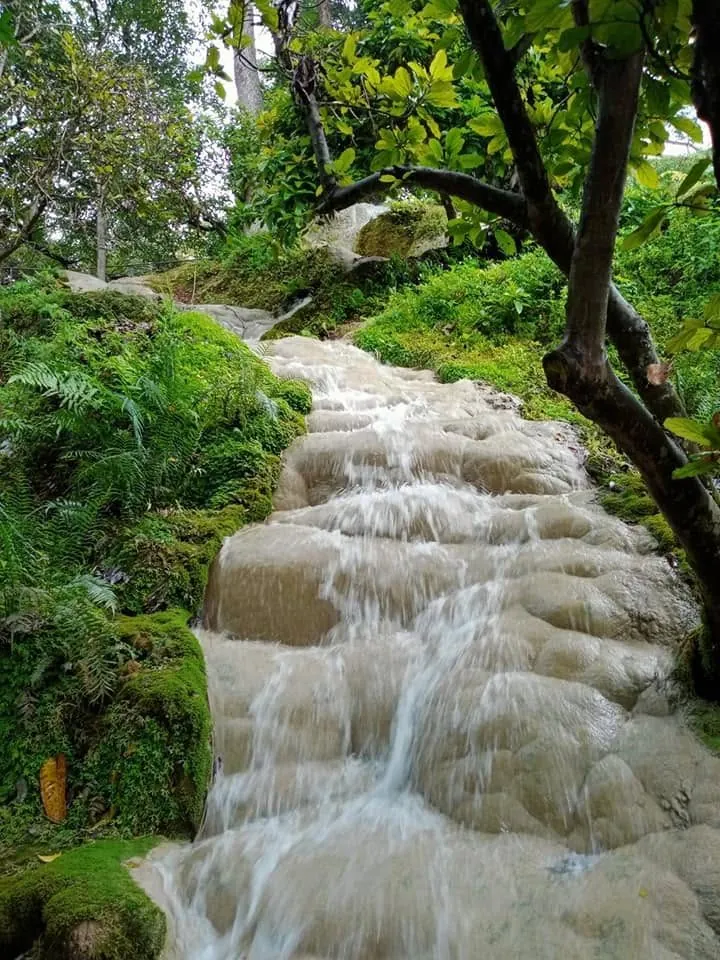 Mossy forest cascade at Bua Tong Sticky Waterfall
