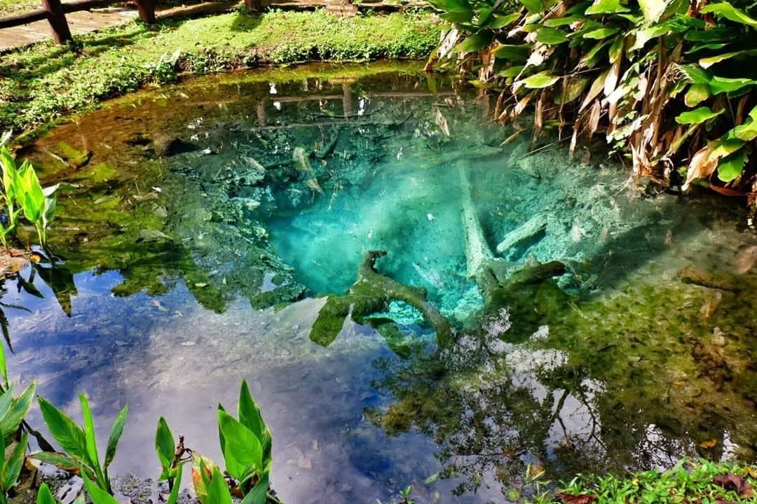 Clear spring water at Chet Si Fountain near Sticky Waterfall