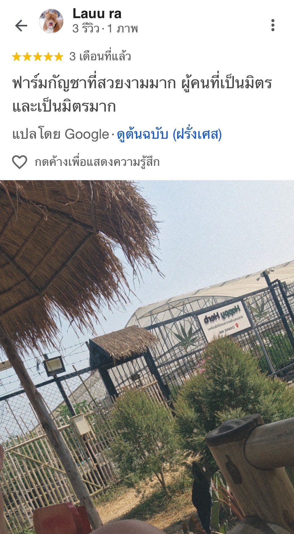 LINE_ALBUM_reviwe farm_250605_33