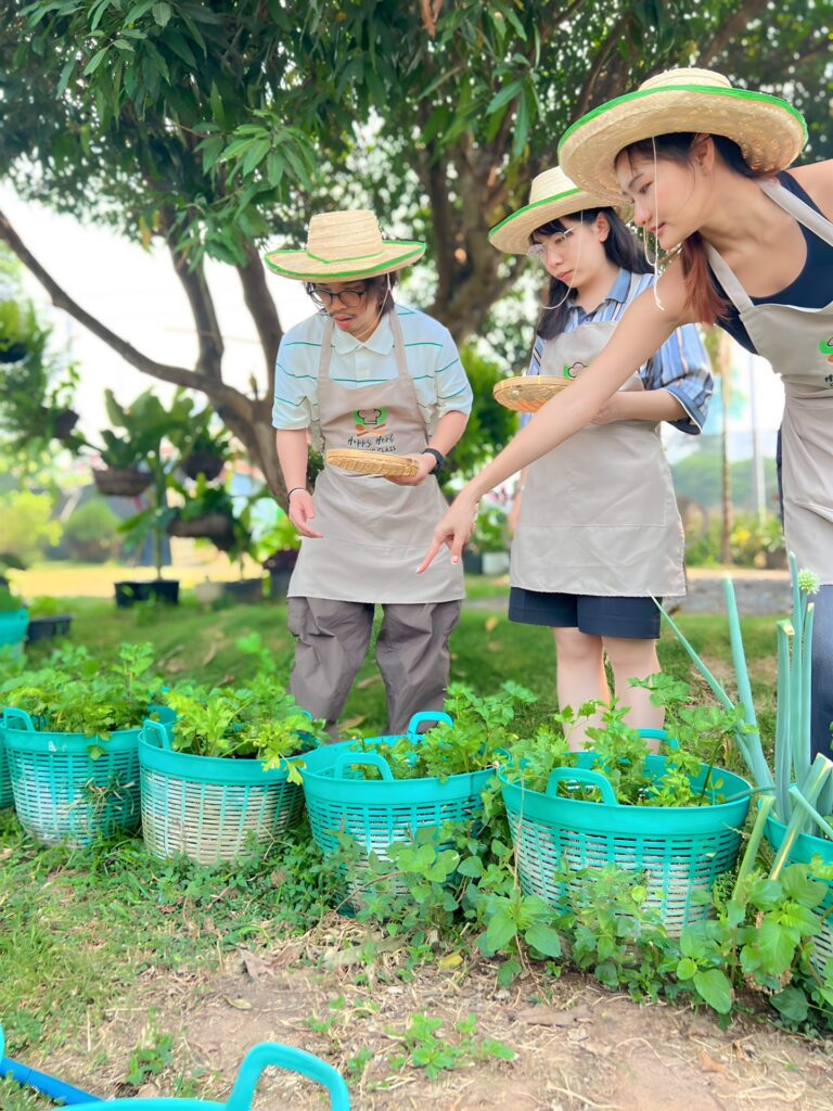 Why We Grow Organically